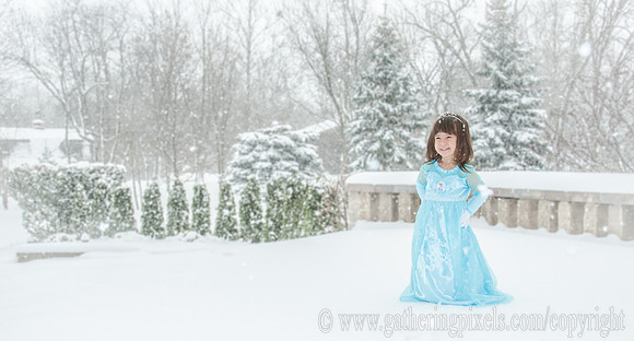 Ice Princess