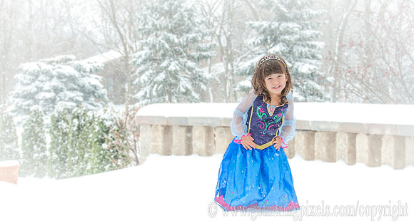 Ice Princess