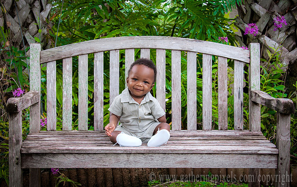 Park Bench